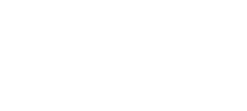Veh&iacute;culos Co., Ltd de la hormiga de Shandong